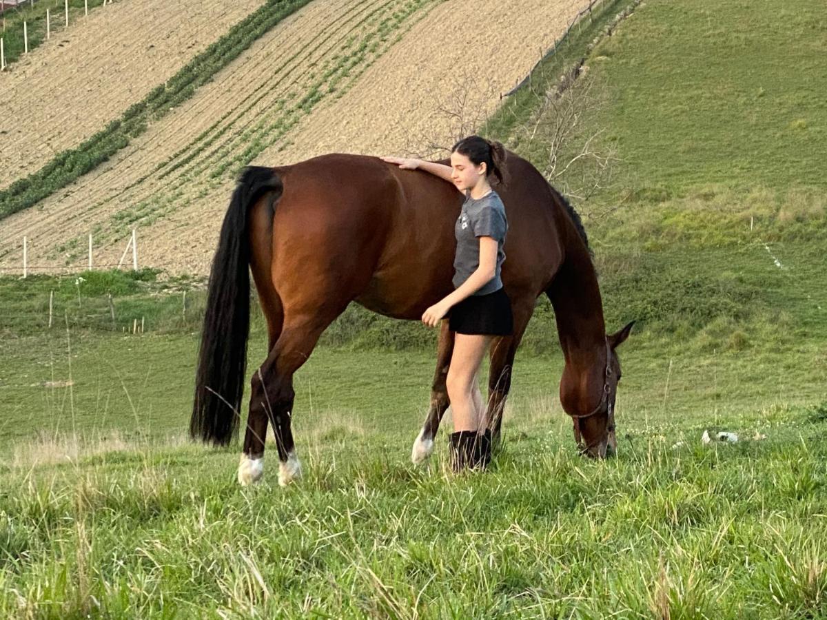 Tenuta Lisetta Monterotondo  Buitenkant foto